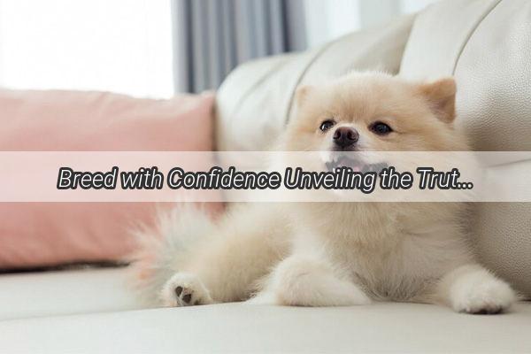 Breed with Confidence Unveiling the Truth About Dog Vaccination Expiration and Matings